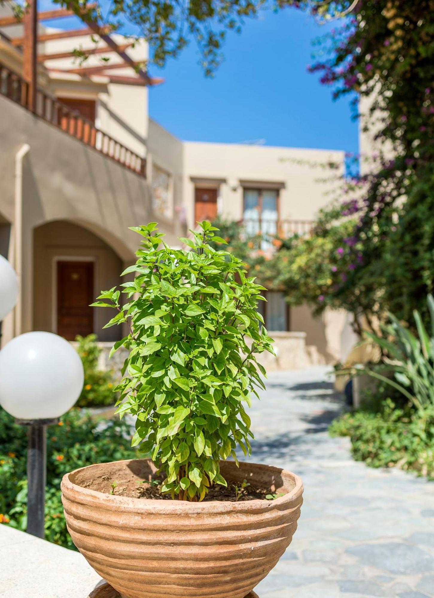 Indigo Mare Apart otel Hanya Dış mekan fotoğraf